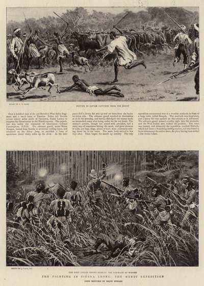 Kampene i Sierra Leone, Mendi ekspeditionen af S.T. Dadd